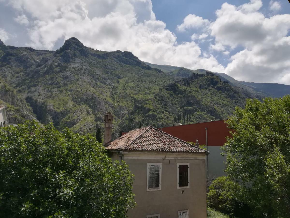 Apartment Nikolic Κότορ Εξωτερικό φωτογραφία